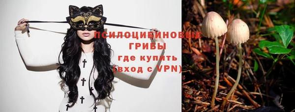мдма Ладушкин